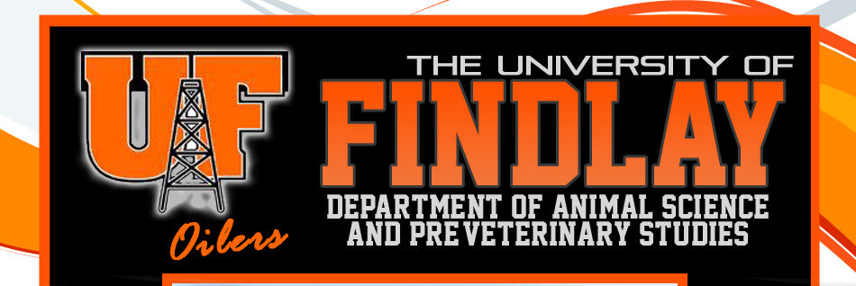 The University of Findlay Department of Animal Science and Pre-Veterinary  Studies | About Our Flock